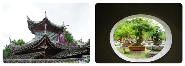 多彩貴州，魅力天下，2021年廣東博皓快樂貴州行-14