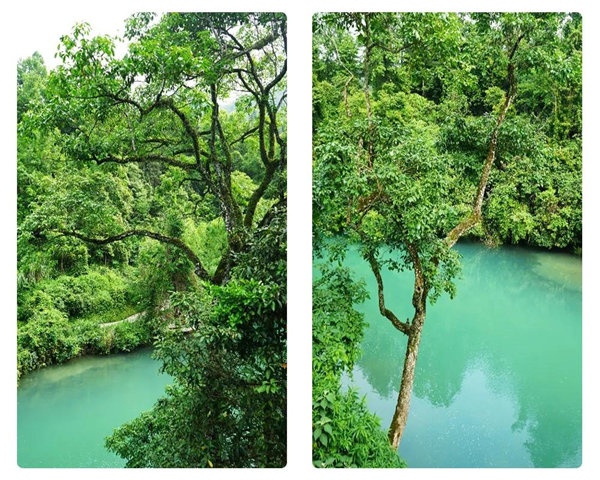 多彩貴州，魅力天下，2021年廣東博皓快樂貴州行-29