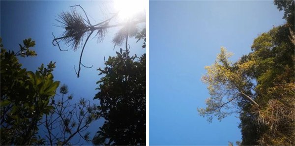 廣東博皓 博行天下丨虎年第一爬，挑戰(zhàn)從化老虎頭   -1