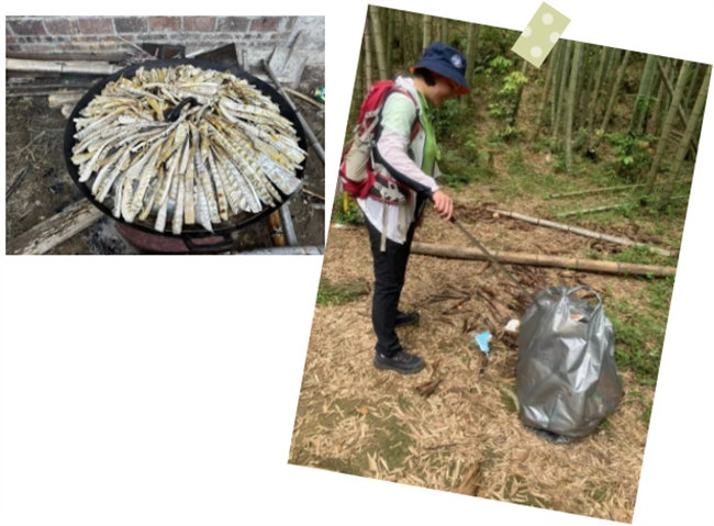 生命和綠色擁抱,人類與生態(tài)共存——2023年廣東博皓公益活動 -6