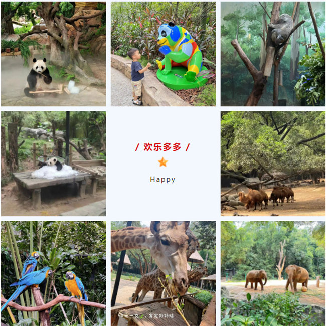 大手牽小手，快樂(lè)親子游！廣東博皓2023年親子游活動(dòng)        -8