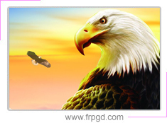 學習組織——鷹之家 學習組織——鷹之家